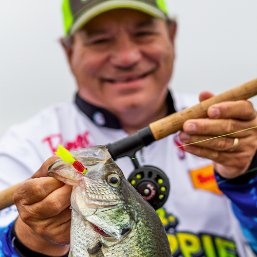 Crappie & Panfish Gear